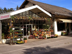 Logo von Öhler Gärtnerei-Blumen