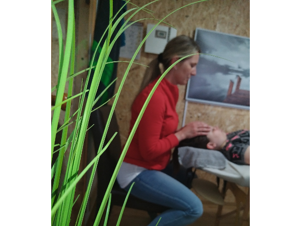 Bild 2 von CaLu - Cornelia Lurger / Human- und Tierenergetik