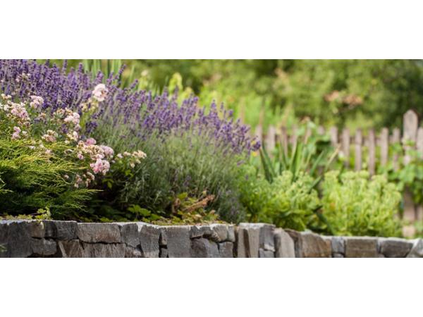 Bild 12 von Eder Gartenarchitektur GmbH