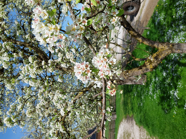 Bild 63 von Haus Christoph