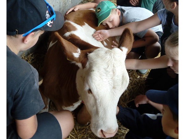 Bild 3 von Schirkhof - Herzensbildung für Kinder mit Therapietieren am Bauernhof - Gerlinde Pletz