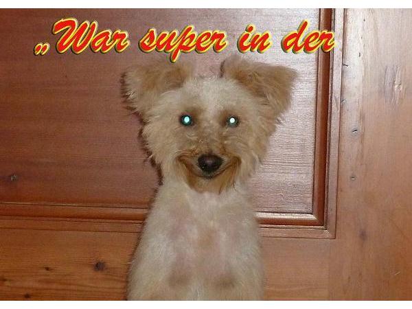 Bild 16 von Bellness Oase