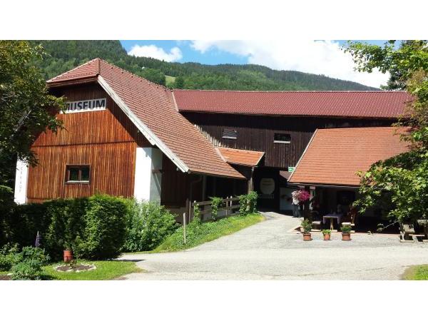 Bild 1 von Museum - Pilz-Wald-Erlebniswelt