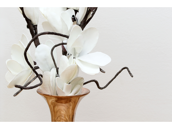 Bild 6 von Homestaging Expert - DI Dr. Birgit Rader