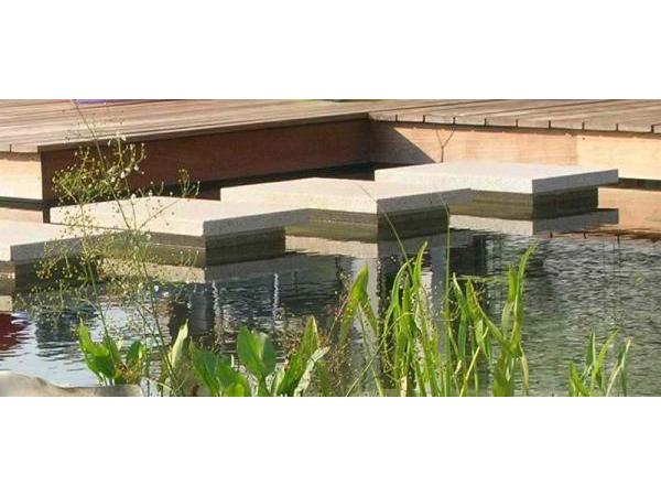Bild 16 von Schwimmteich & Gartengestaltung Matheis KG