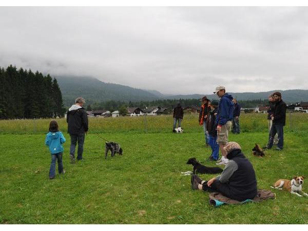 Bild 1 von Ausserferner Hundeschule