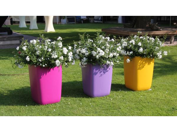 Bild 9 von Gartenglück GartengestaltungsgesmbH