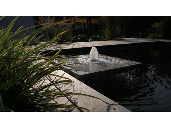 Bild 3 von GartenKult
