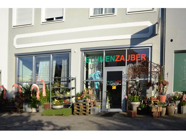 Bild 1 von Blumenzauber