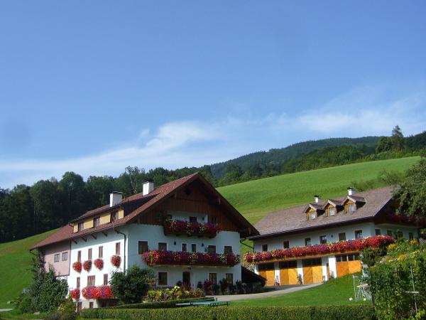 Bild 5 von Ferienhof Fischenhaus Fam Wesenauer