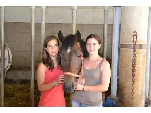Bild 6 von Reitergut Weissenhof - Fam Veits