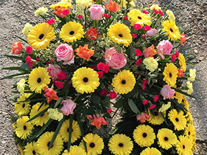Logo von Seefried Blumenbau GesmbH