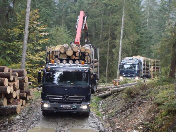 Bild 2 von Beer Christoph Holztransporte