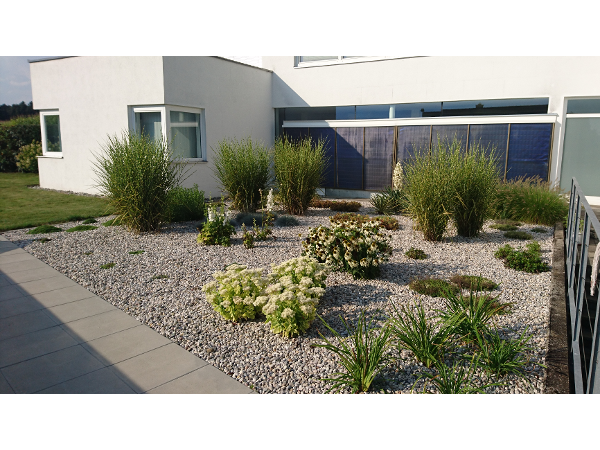 Bild 3 von Garten Erlauer Martin