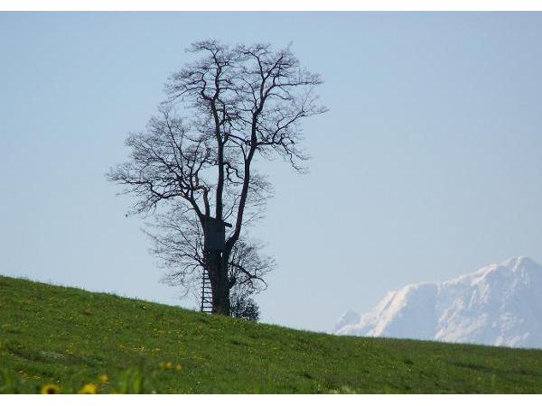 Bild 6 von Tourismusverband Anthering