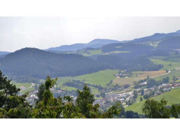 Bild 2 von Kaltenbergerhof