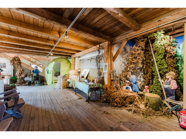 Bild 2 von Hopfenmuseum am Hopfenerlebnishof
