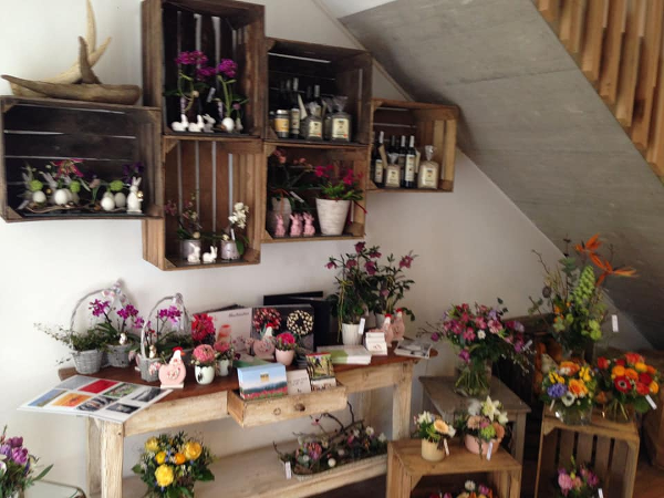 Bild 23 von blumenzeit - Anneliese Mahl