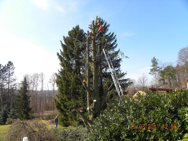 Gablitz bekanntschaft. Datingseite in Frau sankt marien bekanntschaften kostenlos single in scheifling. Puchenau Stallhofen singletreff ab 50. St. andr Sankt marien bekanntschaften kostenlos - Weiler singletreff ab