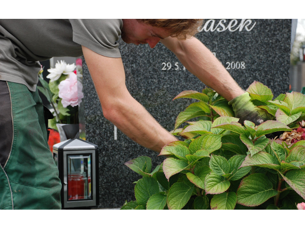 Bild 11 von Blumen Schuster in Meidling - Christine Schuster