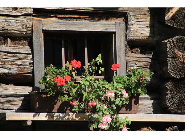 Bild 20 von Haus Durchegg