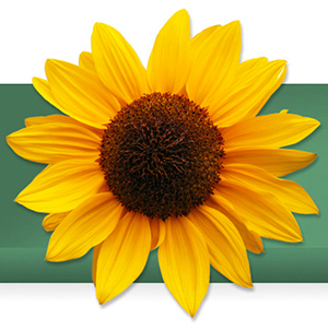 Logo von Gallowitsch Marianne