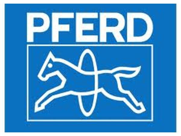 Bild 1 von PFERD Werkzeuge- u. Maschinenhandel Rüggeberg Gesellschaft m.b.H.
