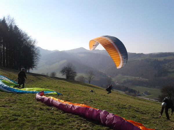 Bild 6 von Flugschule Kilb - Free Wind