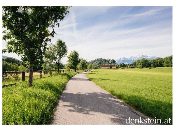 Bild 3 von Denkstein Immobilien Salzburg