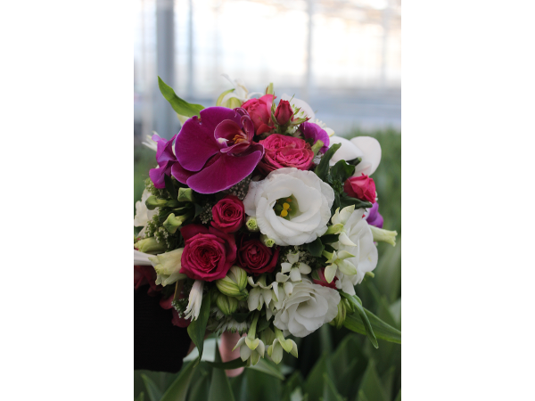 Bild 20 von Blumen Resinger