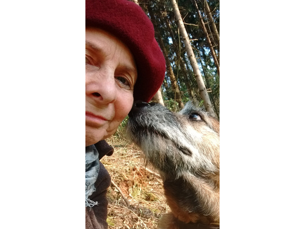 Bild 3 von Tierarztpraxis Marktl