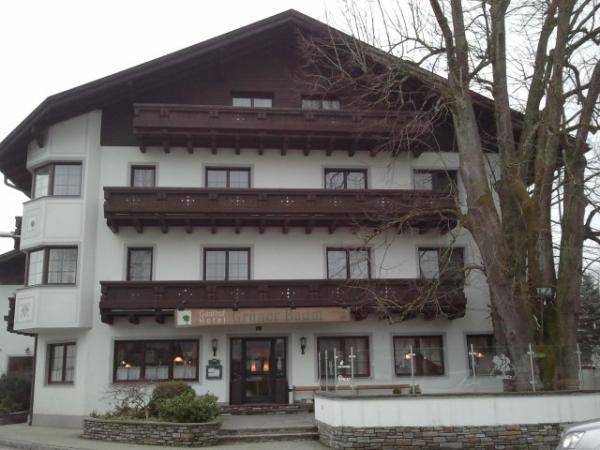 Bild 1 von Kiener - Cafe Restaurant Takeaway