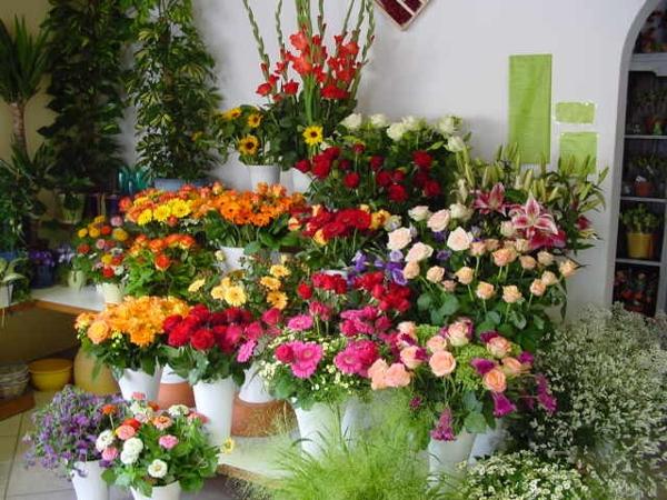 Bild 12 von Gartenbau – Blumen Robert Reißer