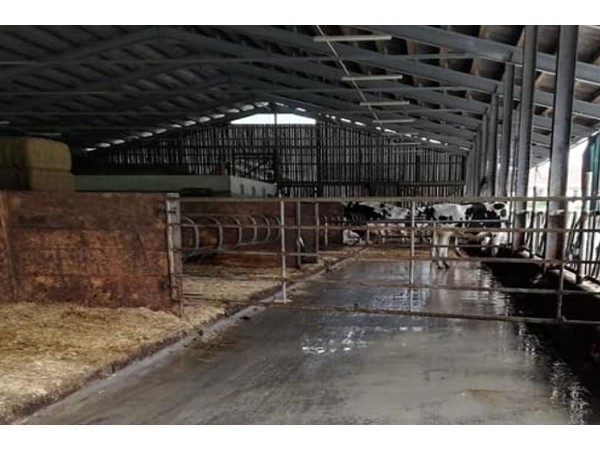 Bild 5 von Zass – Stallbodensanierung