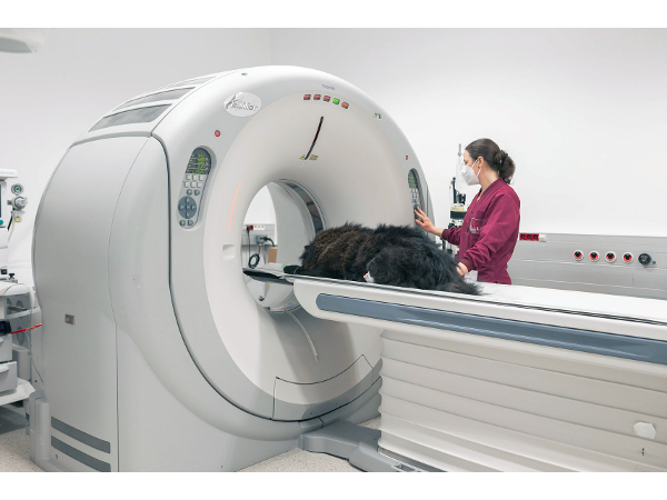 Bild 15 von Tierklinik Sattledt