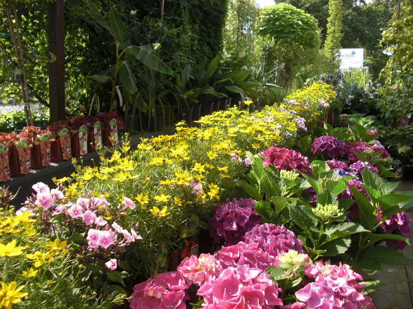 Bild 13 von Michel's Gartenmarkt
