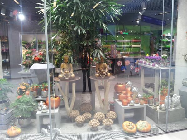 Bild 5 von Blumen im Bahnhof Veronika Schmeikal