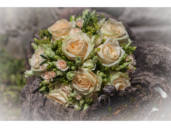 Bild 4 von Erwin Leimlehner Fotografie - Hochzeitspanorama