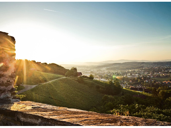 Bild 1 von Tourismusverband Südsteiermark
