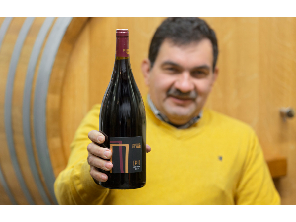 Bild 3 von Weingut Josef und Jana Piriwe