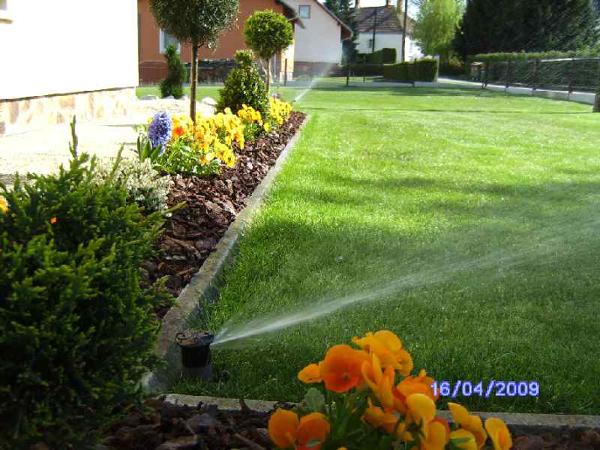 Bild 1 von HARI alles für den Garten