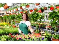 Blumen Steurer | Ihr Landflorist am URTELHof