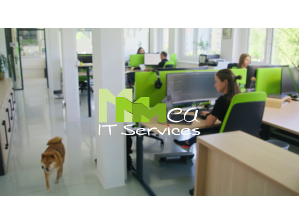Bild 21 von mea IT Services