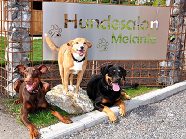 Bild 15 von Hundesalon Melanie