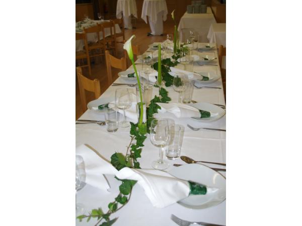 Bild 16 von Blumen Weiss
