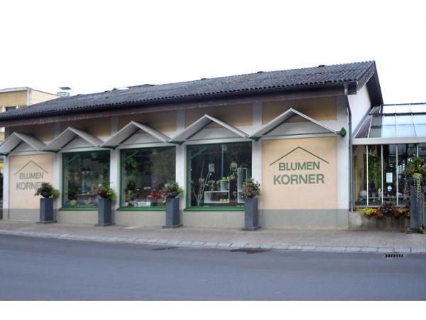 Bild 1 von Gärtnerei Alexander Korner