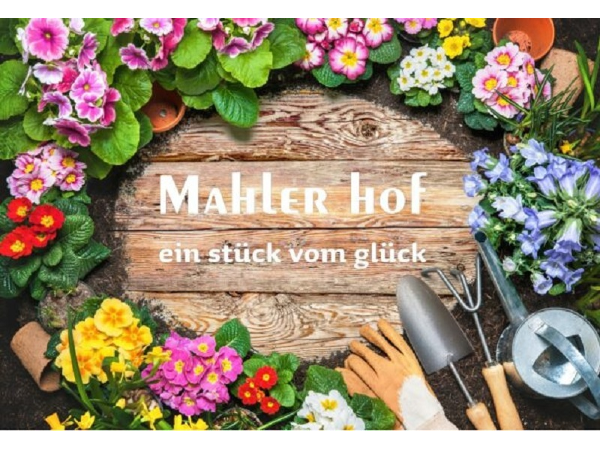 Bild 1 von Mahlerhof - Jenny Lumaßegger
