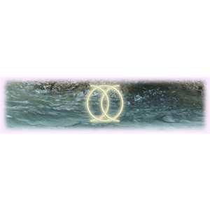 Logo von Dipl Feng Shui-Lebensraumconsultant