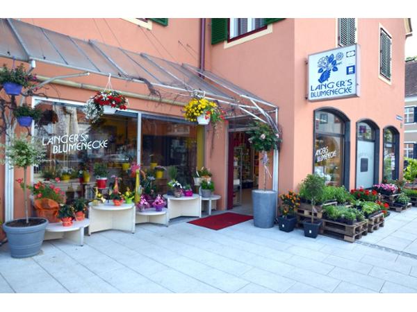 Bild 1 von Langer's Blumenecke