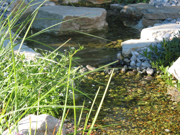 Bild 7 von Ihr Gartengestalter Weinzettel GmbH